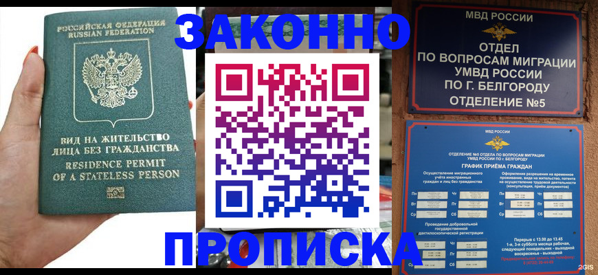прописка для кредита в Шебекино